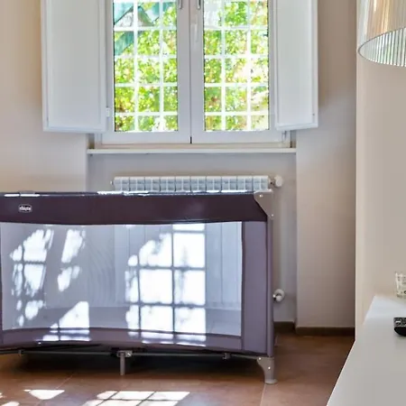 Garage-netflix-wifi Garden